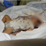 Otřesné a brutální vraždy mimin palestinským Hamásem I LCC
